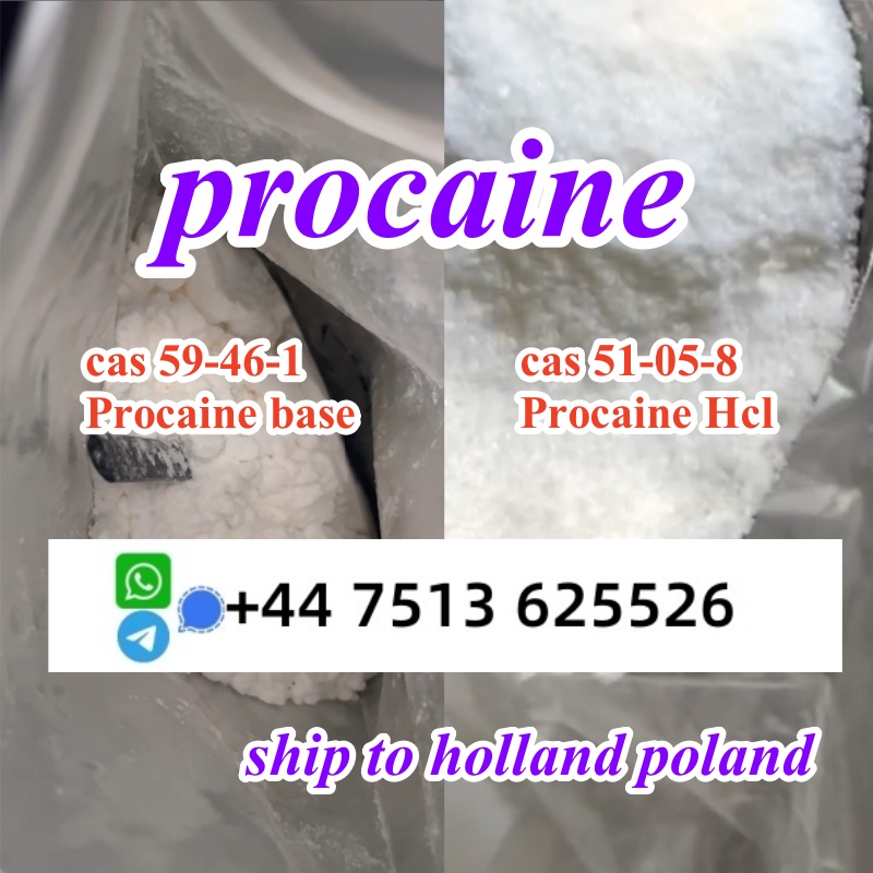 procaine hcl base powder (1)