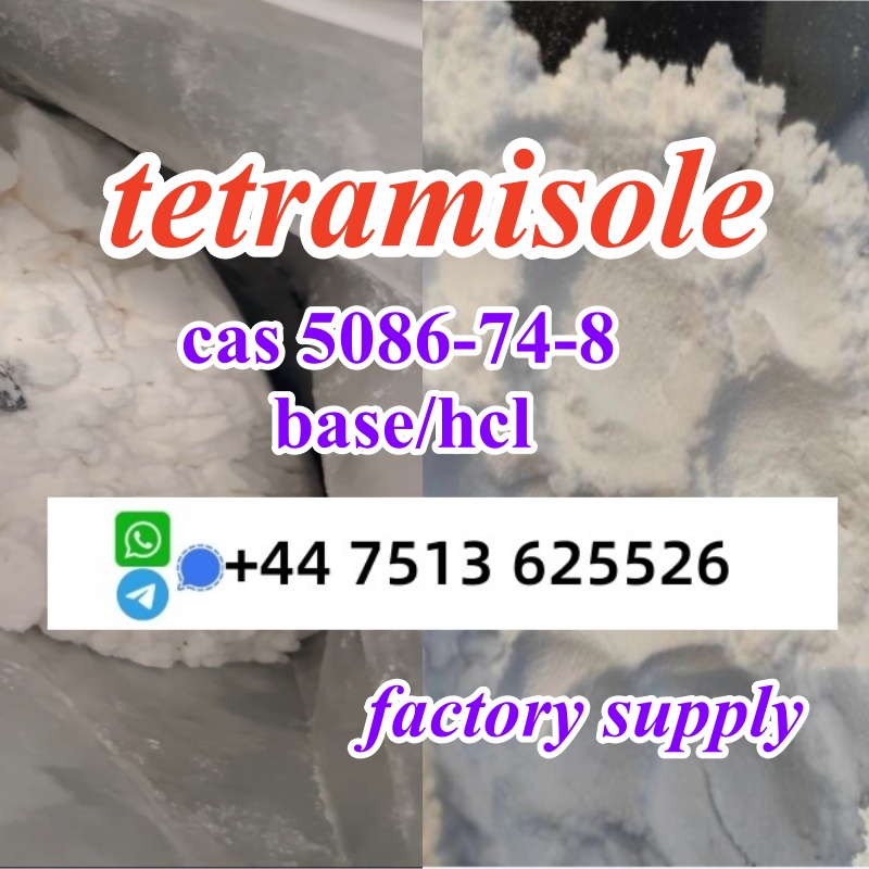 tetramisole hcl base (1)