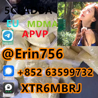 001b5381-eb40-492c-b6e1-5cee90cb53a9