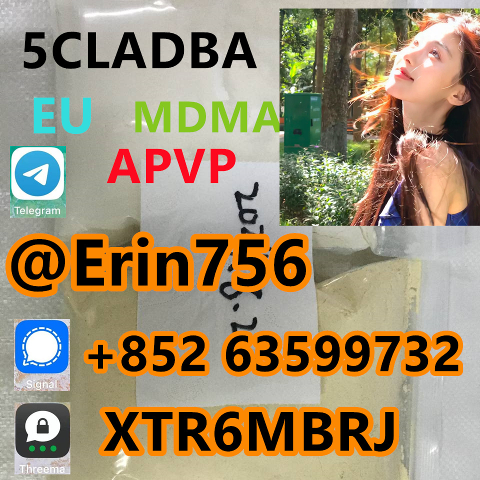 1b4a89f6-dc1f-413e-810c-e28ad784701a