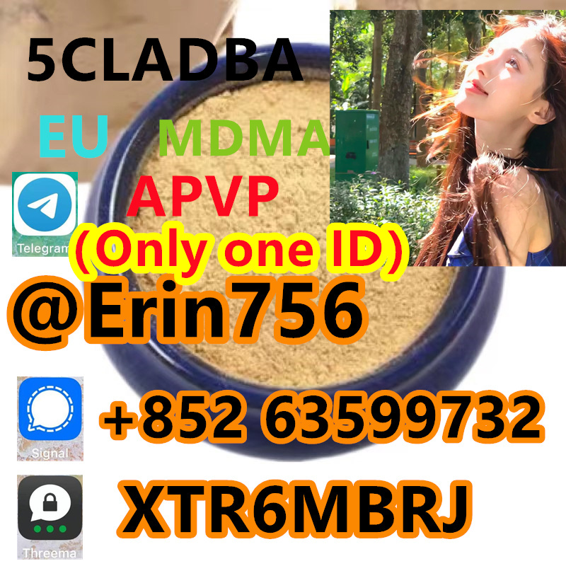 9db4dd72-5731-4cdc-9511-f69f74f011e6