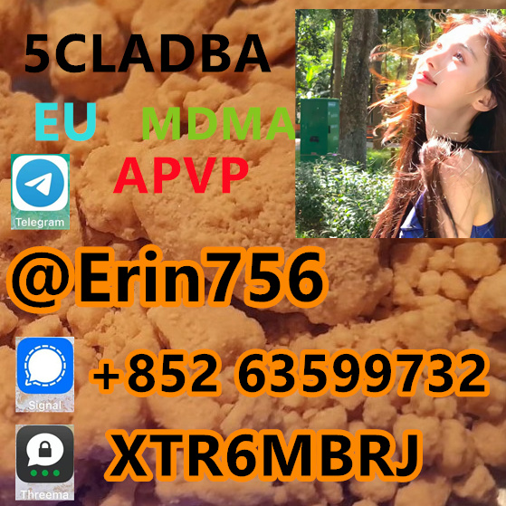 d2318fd1-b0a4-49bc-b4eb-a3947d243283