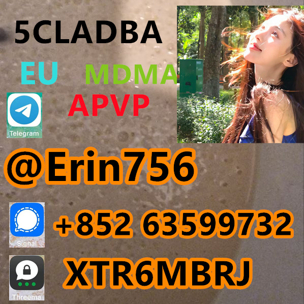 ee02c30b-ccda-4b8d-bc96-c2d053b098a3