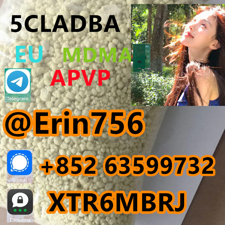 fc2e1845-35e9-42de-8b1c-fba329ad92e2
