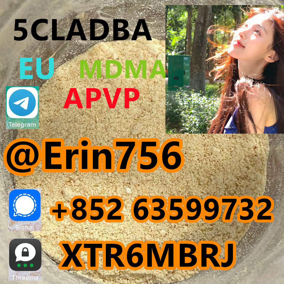 fc56b85a-f540-418c-a4b2-a38e1d0621fe