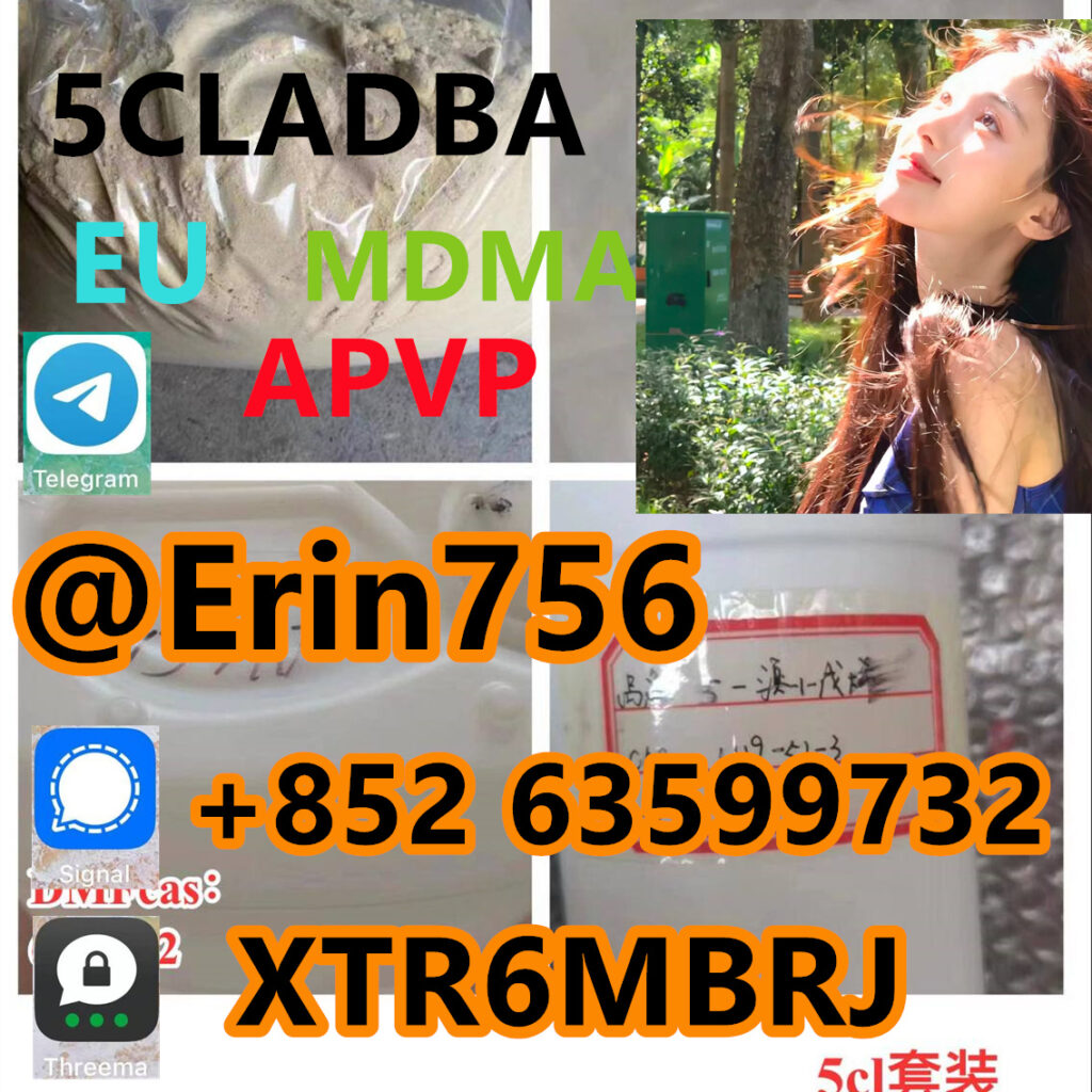 fdf91294-fb5a-4f27-a690-39d340edfc51