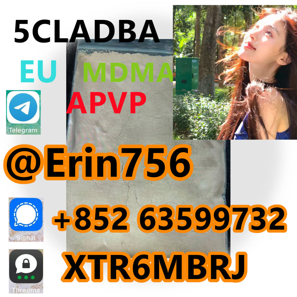 photobank
