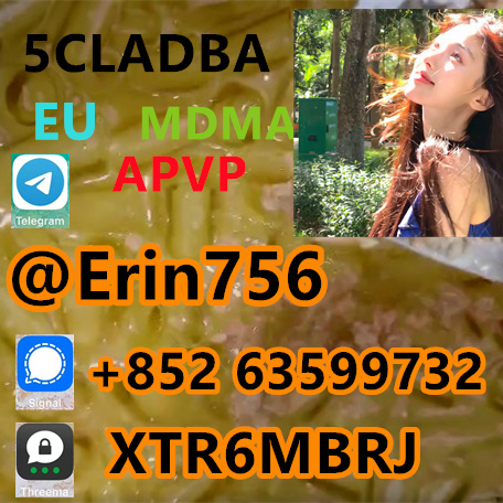 成品4