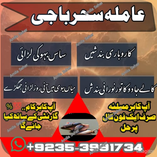 IMG-20240902-WA0146