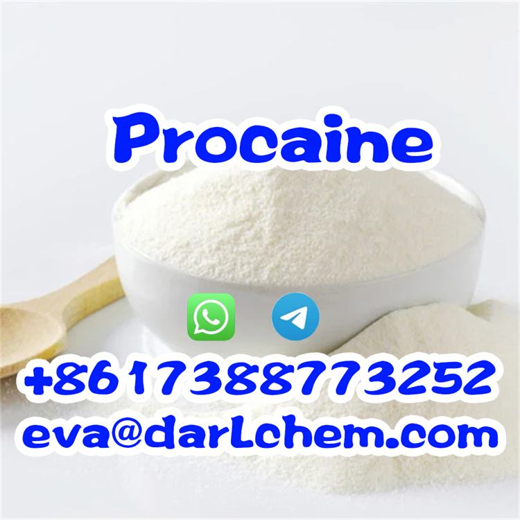 Procaine443