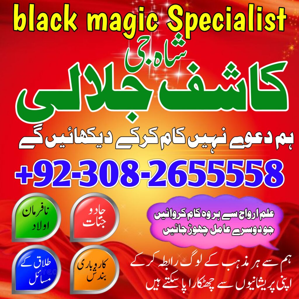 WhatsApp Image 2025-01-31 at 8.04.49 PM