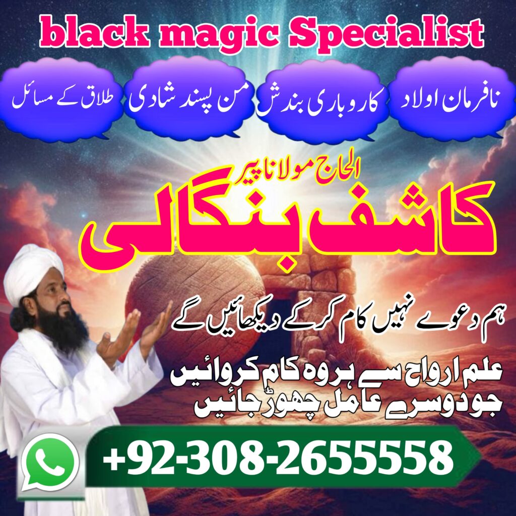 WhatsApp Image 2025-01-31 at 8.05.00 PM (1)