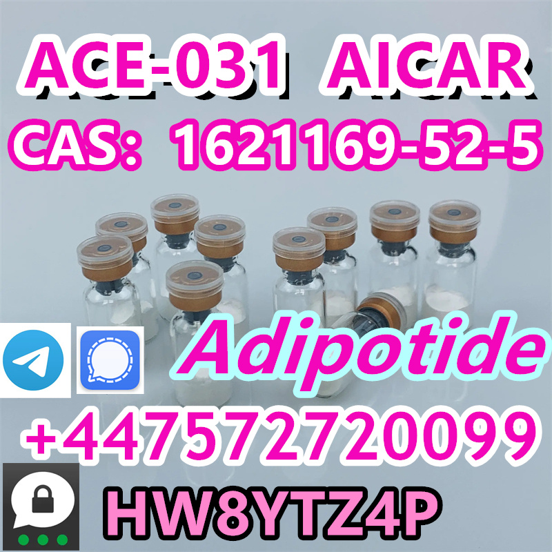 1-81.webp