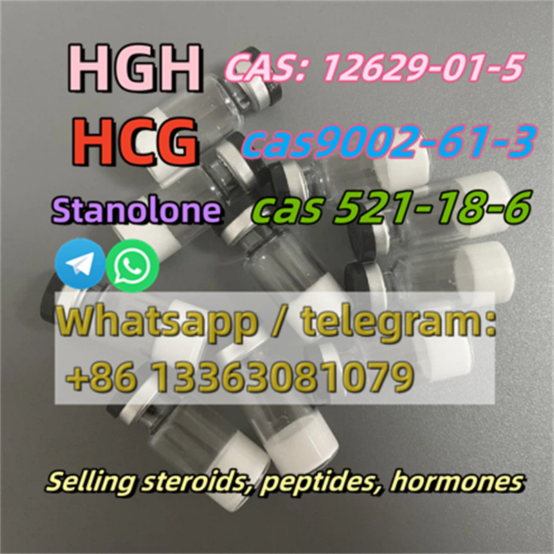 31013