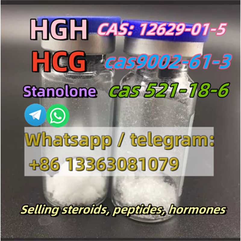 31019