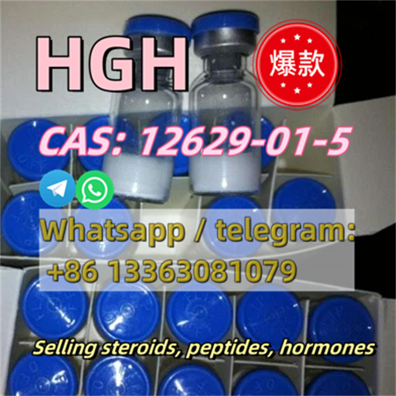 3106