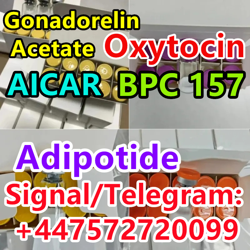 764a7d1001654c7b9ace085dee300081.webp