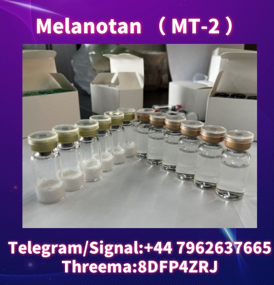 mt4_副本