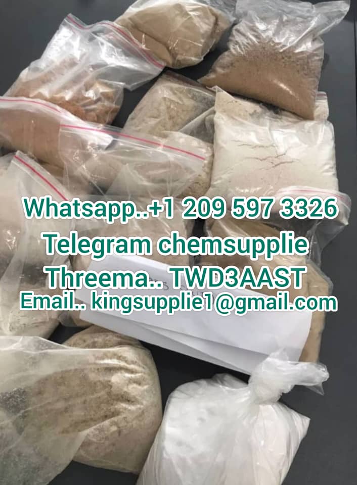 WhatsApp Image 2025-02-22 at 11.18.43 (1)