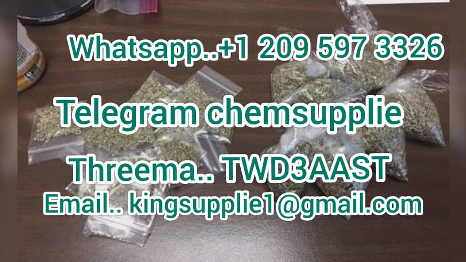 WhatsApp Image 2025-02-22 at 11.18.43 (3)