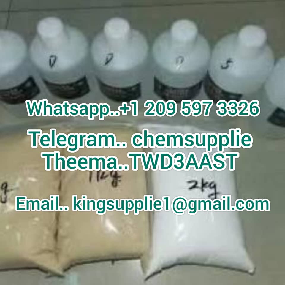 WhatsApp Image 2025-02-22 at 11.18.44
