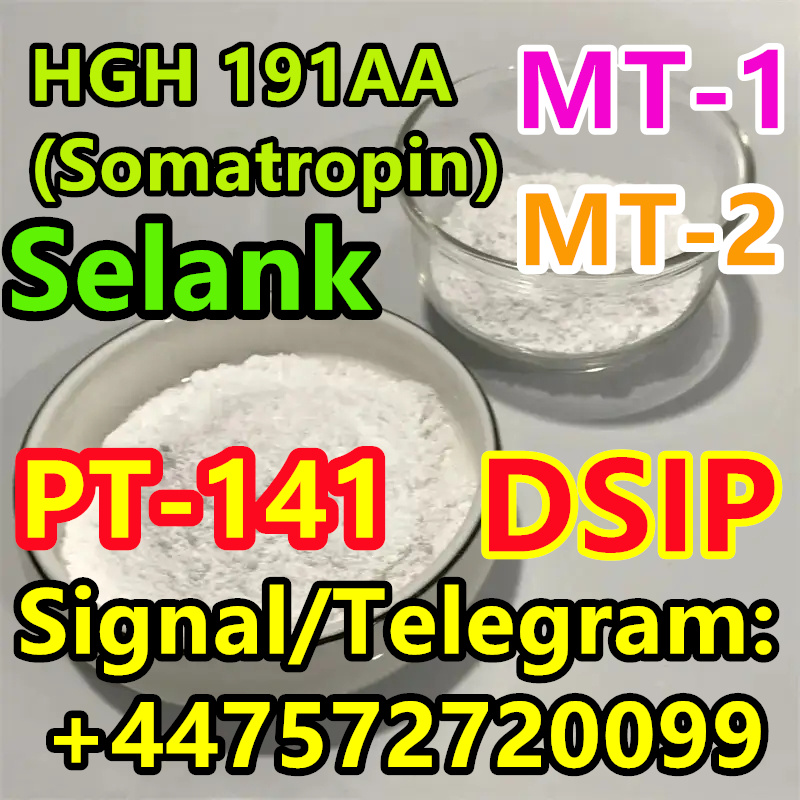 076bf1027ef54d50b4278d20d1363d85.webp