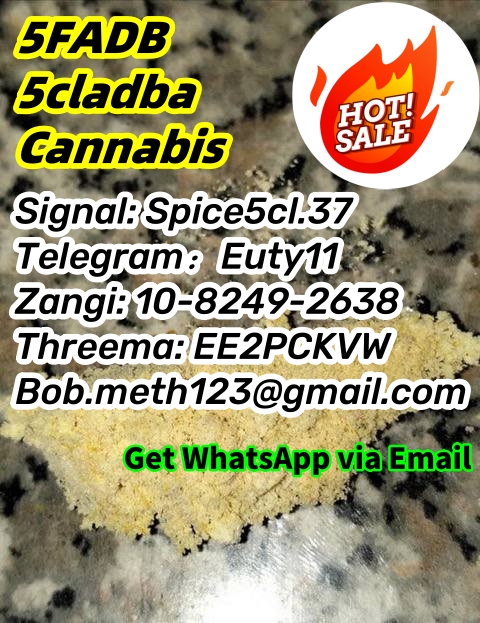 1688007064136_副本