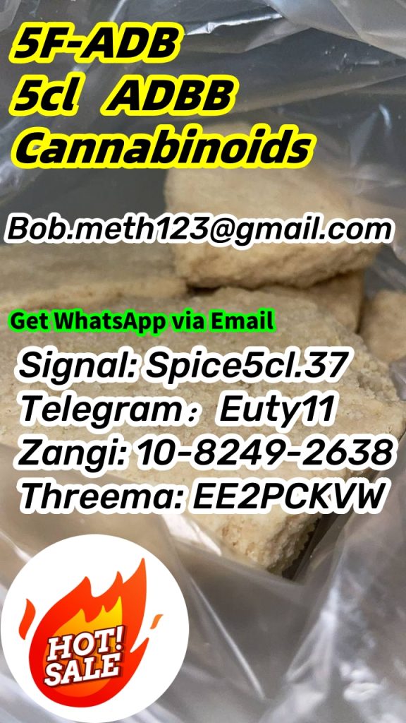 1725408737946_副本