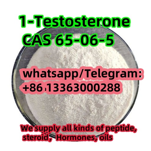 1728537325198