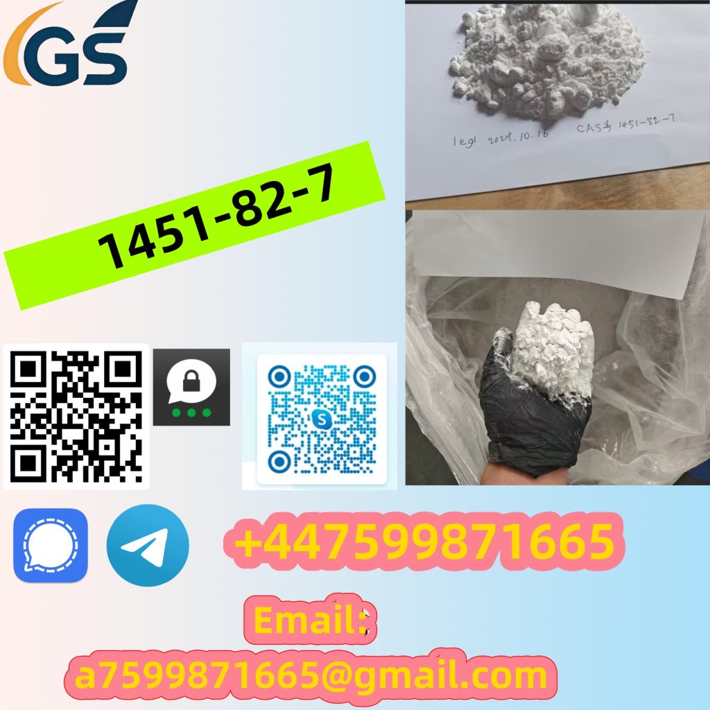 488223276_122115239630798631_162179089088661939_n_副本