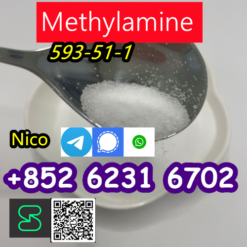 59304