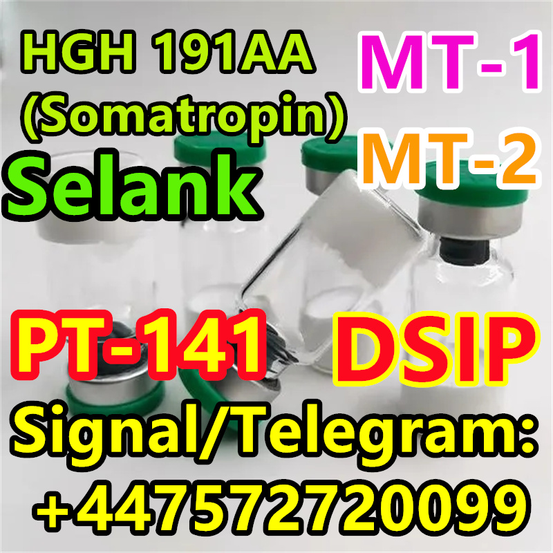 9_54-webp1740455283.webp