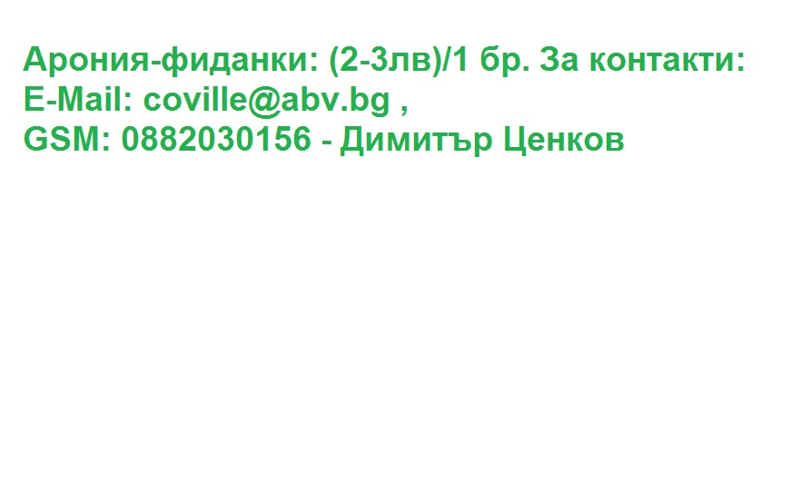 Aronia_2021