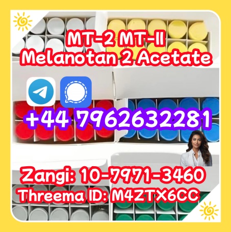 MT-2 4.29.3