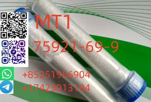 MT11