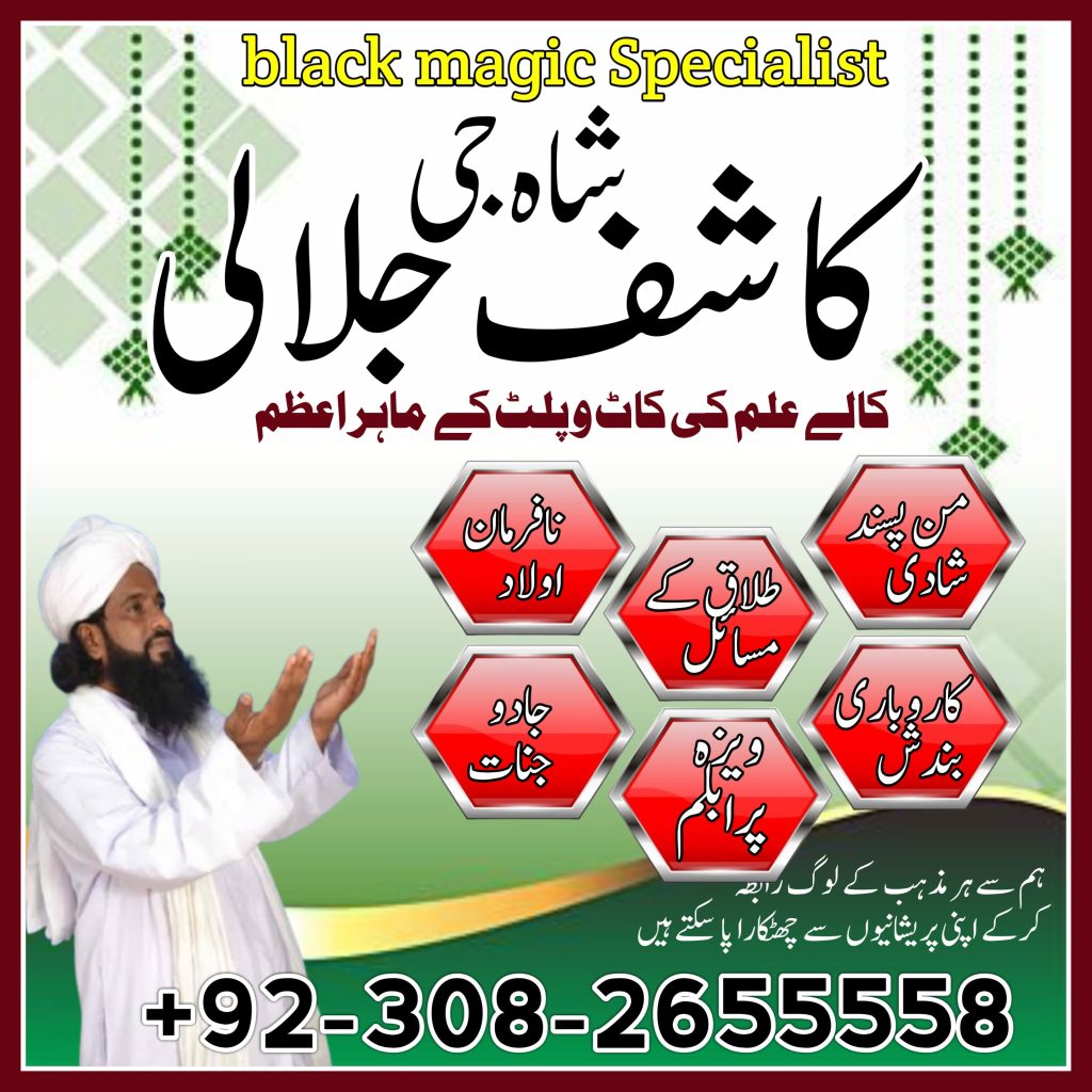WhatsApp Image 2025-01-30 at 10.20.00 PM