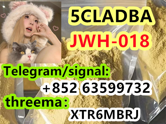 06b855ec-6d0c-4098-91bf-27c88d26dcd9