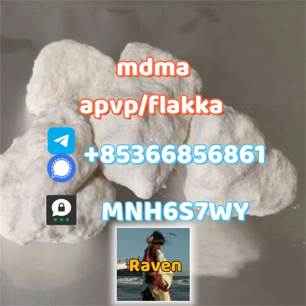 1 (41)