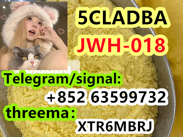 397f7111-f16f-4872-91c5-3afb885cc760