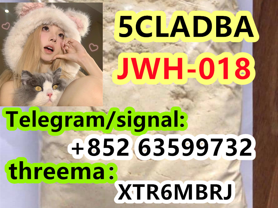 40723ee9-36dd-431d-8311-df7f44076855