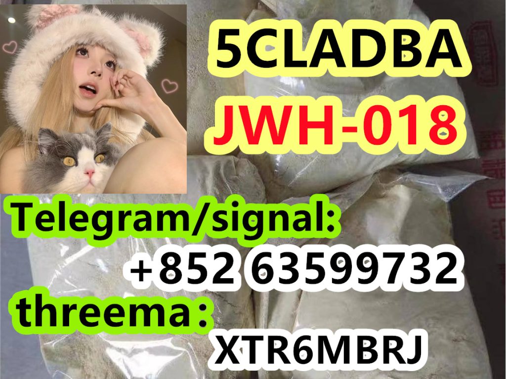 772ca144-ad88-4f74-b034-32bf3a3020d4