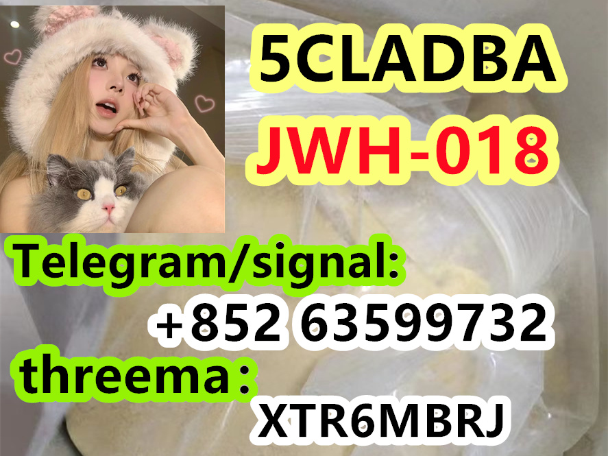 78096153-b910-4166-a803-f92356d023ce