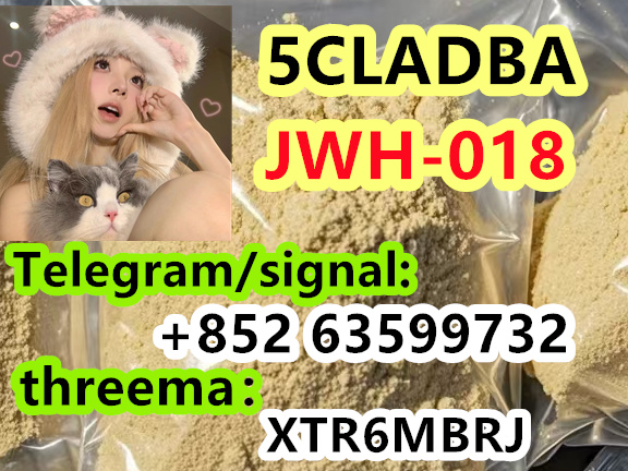 88d965be-59ee-406d-95c3-c00e5cd2a2eb