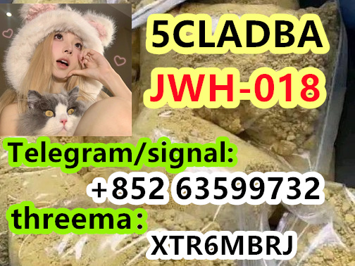 91852f71-b9c5-47e6-b496-6945de406b63