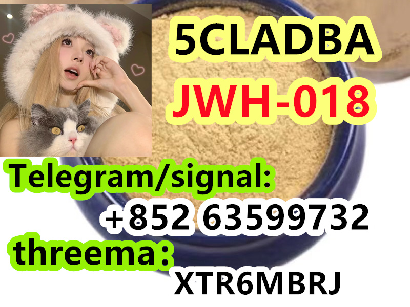 9db4dd72-5731-4cdc-9511-f69f74f011e6