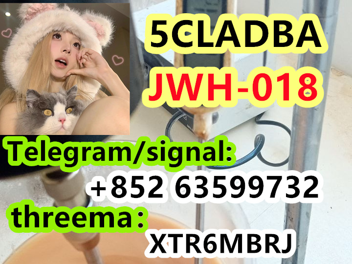 ae37e2d9-74ca-4abe-8b6c-464e8f3f93db
