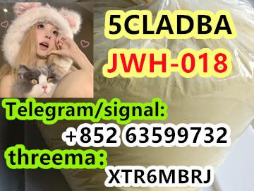 b44619d0-cf6b-4ff6-8539-40343a8532ea