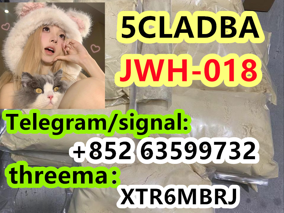 bdcba720-e9bd-4b1c-88c3-a75cc0449b4f