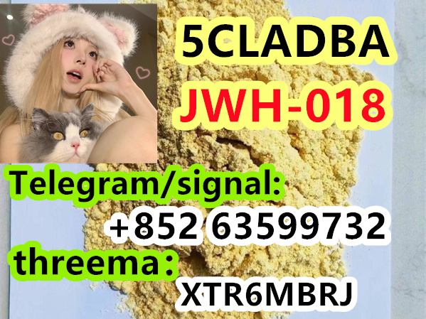 ca069600-d023-46c8-a9e9-88d6f9db014e
