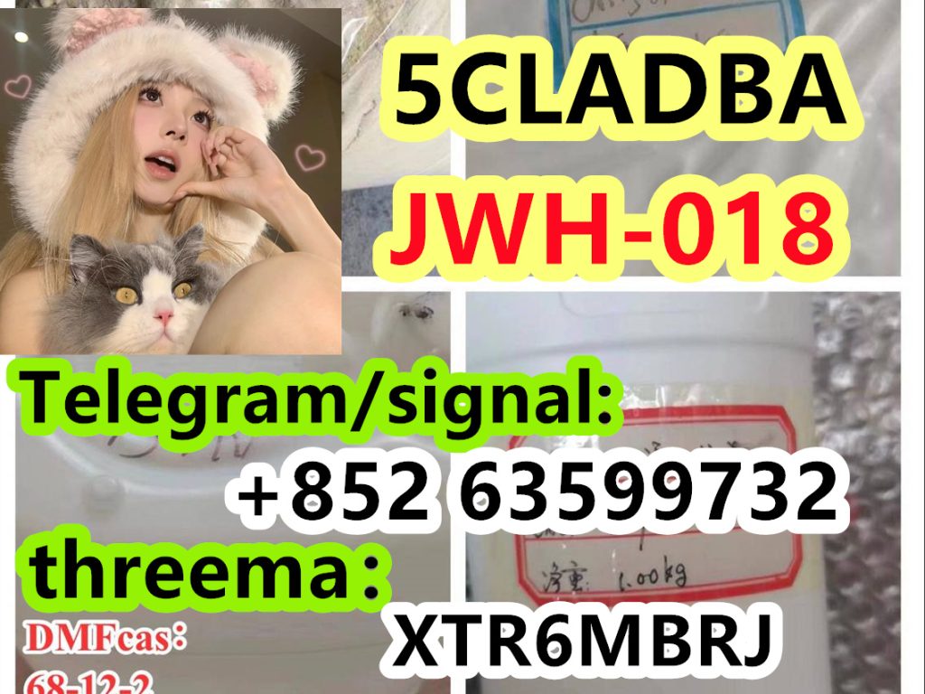 fdf91294-fb5a-4f27-a690-39d340edfc51